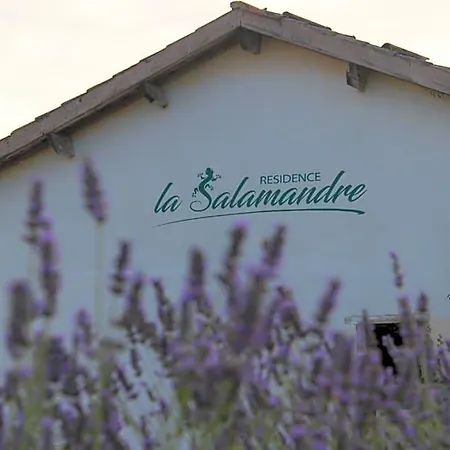 La Salamandre Couette-café Rabastens