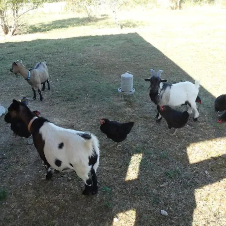 La Salamandre לינה וארוחת בוקר