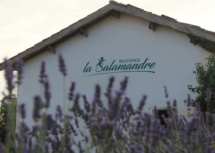 La Salamandre ベッド・アンド・ブレックファスト 4*